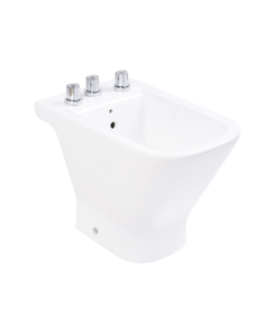 THE GAP BIDET