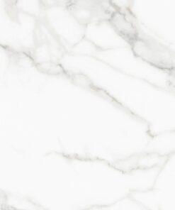 ALB 51X51 CALACATA BEIGE
