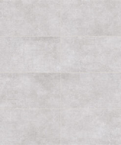 CN 29x59 KANSAS SILVER