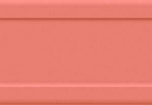 AY 10X40 NASHVILLE DIJON